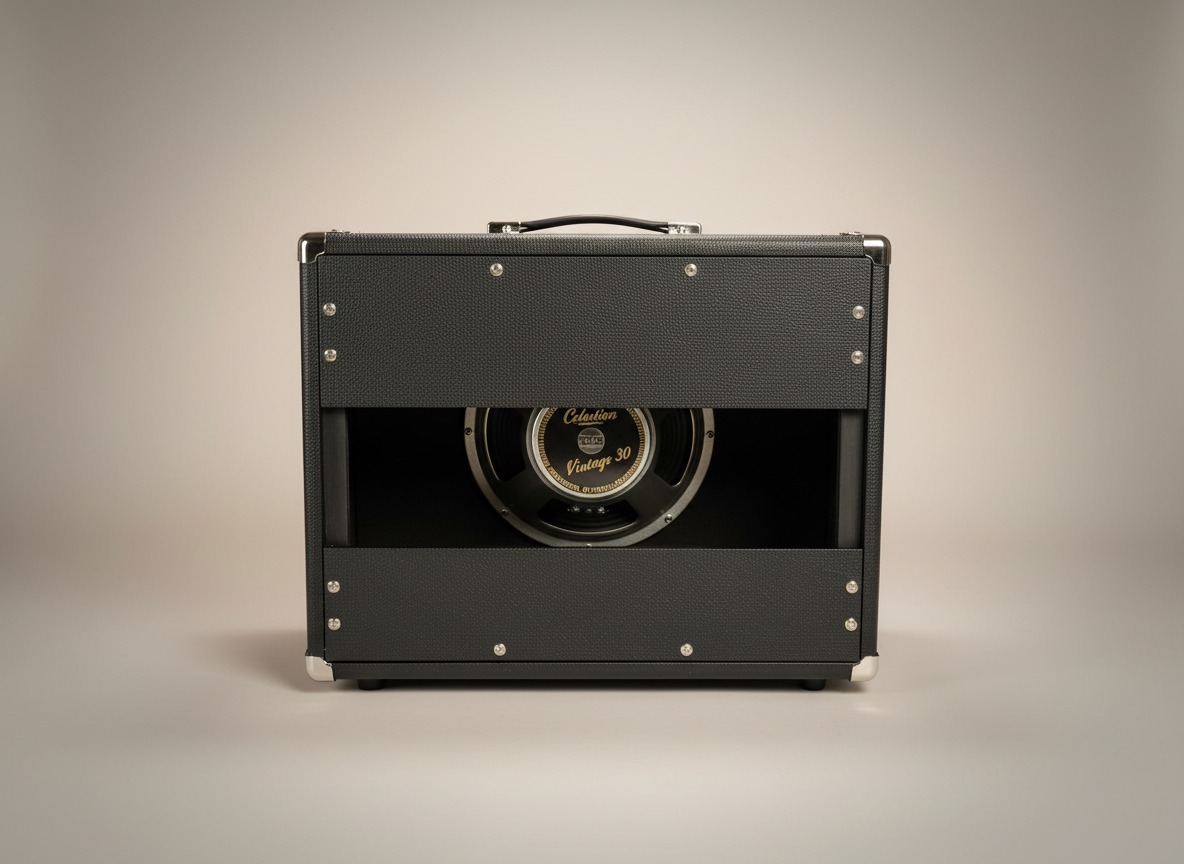Tolex 1x12 — Back view